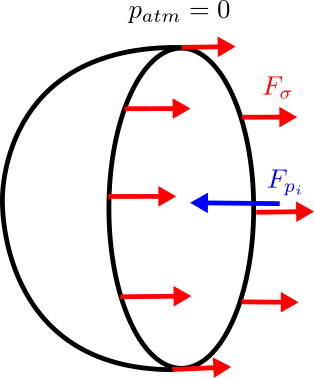 Thermal Efficiency of Reversible Power Cycles